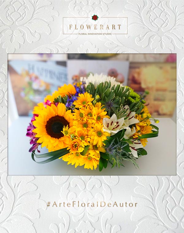 girasoles-17
